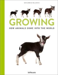 Growing: How animals come into our world cena un informācija | Grāmatas par fotografēšanu | 220.lv