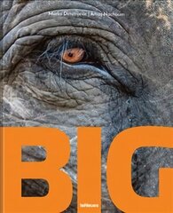 Big: A Photographic Album of the World's Largest Animals цена и информация | Книги по фотографии | 220.lv