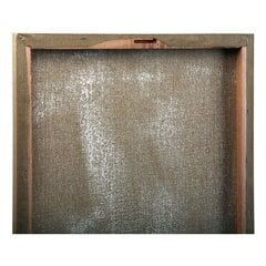 Картина DKD Home Decor (120 x 3 x 60 cm) (2 шт.) цена и информация | Картины | 220.lv