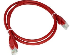 Alantec KKU6CZE0.5, RJ45, 0.5 м цена и информация | Кабели и провода | 220.lv