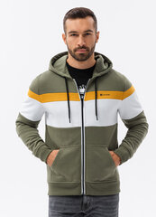 Vīriešu trīskrāsainā džemperis ar kapuci Ombre B1420 cena un informācija | Vīriešu jakas | 220.lv