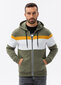 Vīriešu trīskrāsainā džemperis ar kapuci Ombre B1420 цена и информация | Vīriešu jakas | 220.lv