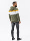 Vīriešu trīskrāsainā džemperis ar kapuci Ombre B1420 цена и информация | Vīriešu jakas | 220.lv
