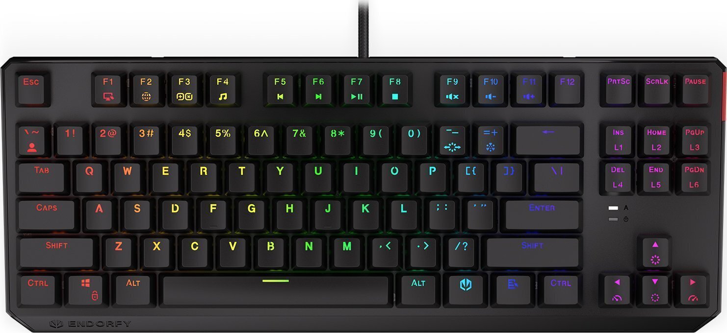 Endorfy Thock TKL Kailh RD RGB цена и информация | Klaviatūras | 220.lv