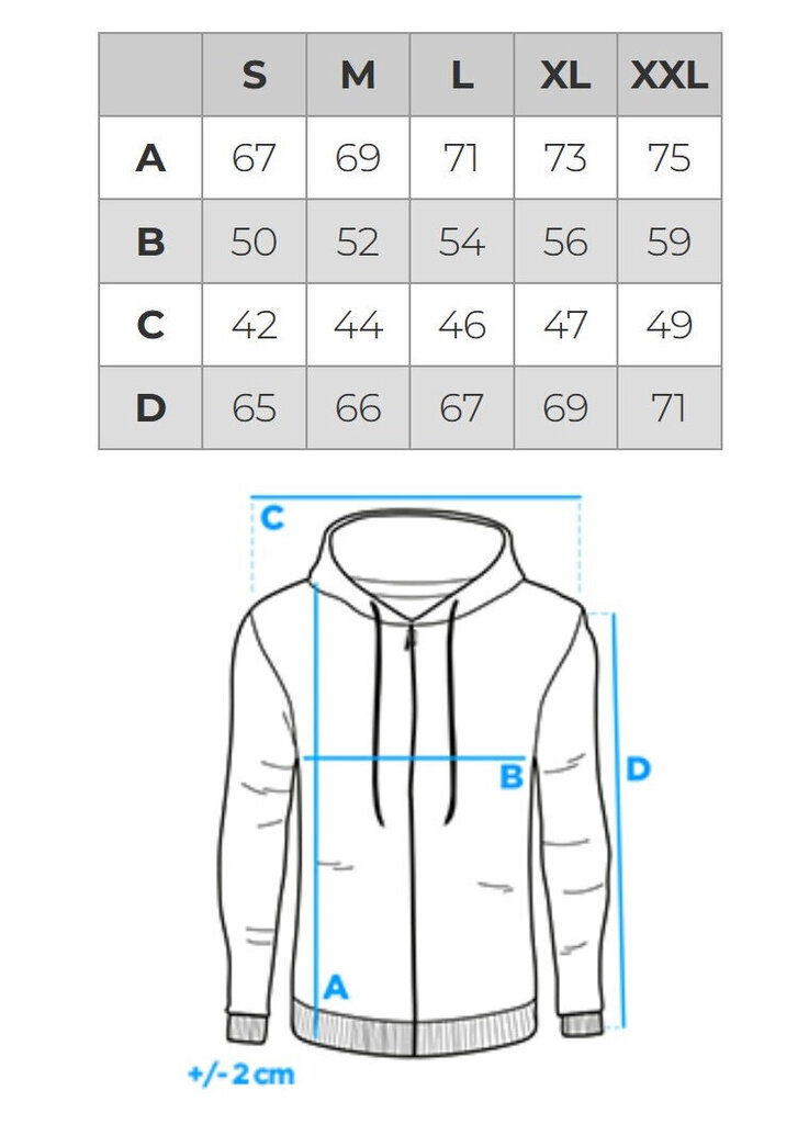 Vīriešu trīskrāsaina biksīte ar kapuci Ombre B1419 cena un informācija | Vīriešu jakas | 220.lv