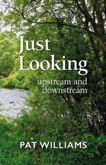 Just Looking: upstream and downstream цена и информация | Книги по социальным наукам | 220.lv