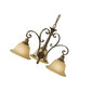 Piekaramā lampa Elstead Lighting Kelham hall FE-KELHAM-HALL-DN3LT цена и информация | Lustras | 220.lv