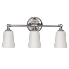 Настенный светильник Elstead Lighting Huguenot FE-HUGOLAKE3BATH цена и информация | Настенные светильники | 220.lv