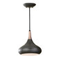 Piekaramā lampa Elstead Lighting Beso FE-BESO-P-M-DBZ цена и информация | Piekaramās lampas | 220.lv