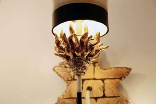 Sienas lampa Elstead Lighting Audubon FB-AUDUBON1 цена и информация | Настенные светильники | 220.lv