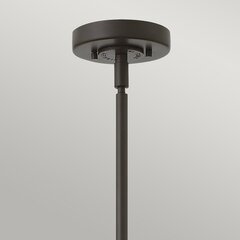 Piekaramā lampa Elstead Lighting Rigby HK-RIGBY-P-KZ цена и информация | Люстры | 220.lv