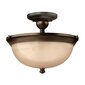 Griestu lampa Elstead Lighting Mayflower HK-MAYFLOWER-SF цена и информация | Griestu lampas | 220.lv