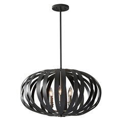 Piekaramā lampa Elstead Lighting Woodstock FE-WOODSTOCK-P-L цена и информация | Люстры | 220.lv