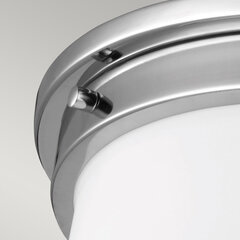 Потолочный светильник для ванной комнаты Elstead Lighting Payne FE-PAYNE-F-BATH цена и информация | Потолочные светильники | 220.lv