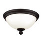 Griestu lampa Elstead Lighting Parkman FE-PARKMAN-F-OB cena un informācija | Griestu lampas | 220.lv