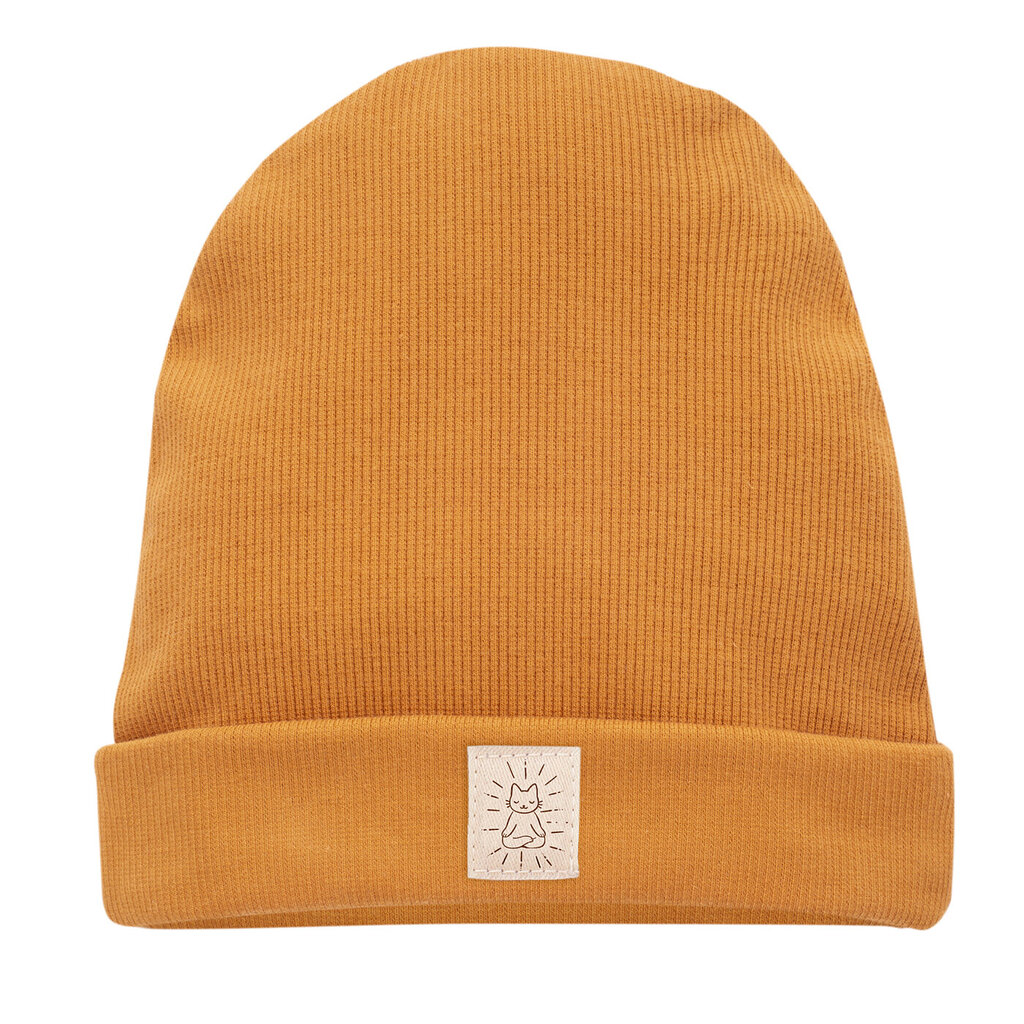 Zēnu cepure, dzeltena1-02-2209-13-3122 cena un informācija | Zīdaiņu cepures, cimdi, šalles | 220.lv