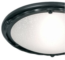 Griestu lampa Elstead Lighting Pembroke PB-F-B-BLACK cena un informācija | Griestu lampas | 220.lv