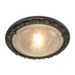 Griestu lampa Elstead Lighting Olivia OV-F-BLK-GOLD cena un informācija | Griestu lampas | 220.lv