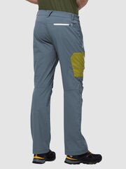Мужские спортивные брюки JACK WOLFSKIN Overland M, серые цена и информация | Мужская спортивная одежда | 220.lv