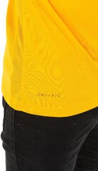 Nike vīriešu futbola krekls Park VI 725891739, dzeltens cena un informācija | Futbola formas un citas preces | 220.lv