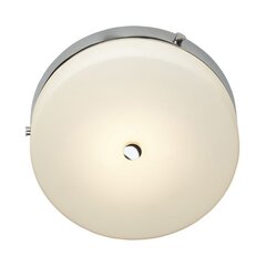 Потолочный светильник для ванной комнаты Elstead Lighting Tamar TAMAR-F-M-PC цена и информация | Потолочные светильники | 220.lv