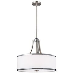 Подвесной светильник Elstead Lighting Prospect park FE-PROSPECT-PARK-4P цена и информация | Настенный/подвесной светильник Eye Spot 11 BL, чёрный | 220.lv