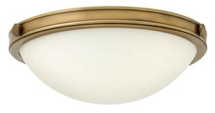 Потолочный светильник Elstead Lighting Collier HK-COLLIER-F-S цена и информация | Потолочные светильники | 220.lv