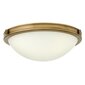 Griestu lampa Elstead Lighting Collier HK-COLLIER-F-S cena un informācija | Griestu lampas | 220.lv