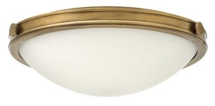 Griestu lampa Elstead Lighting Collier HK-COLLIER-F-M цена и информация | Потолочные светильники | 220.lv