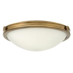 Griestu lampa Elstead Lighting Collier HK-COLLIER-F-M цена и информация | Потолочные светильники | 220.lv