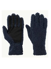 Женские перчатки JACK WOLFSKIN High Cloud Night Blue цена и информация | Женские перчатки | 220.lv