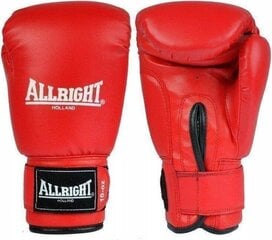 Боксерские перчатки Allright TRAINING PRO 14oz красного цвета цена и информация | Боевые искусства | 220.lv