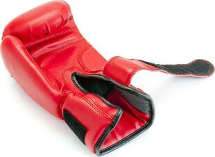 Боксерские перчатки Allright TRAINING PRO 14oz красного цвета цена и информация | Боевые искусства | 220.lv