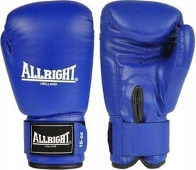 Боксерские перчатки Allright TRAINING PRO 12oz синий цвет цена и информация | Allright Волейбол | 220.lv