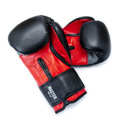Боксерские перчатки Allright Master 10oz цена и информация | Боевые искусства | 220.lv