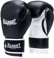 Боксерские перчатки POWER GEL 14oz черный, белый цвет цена и информация | Allright Волейбол | 220.lv