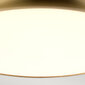 Vannas istabas griestu lampa Elstead Lighting Welland WELLAND-F-S-AB cena un informācija | Griestu lampas | 220.lv