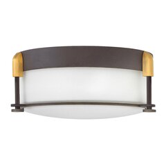 Griestu vannas istabas lampa Elstead Lighting Colbin HK-COLBIN-F-S-OZ cena un informācija | Griestu lampas | 220.lv