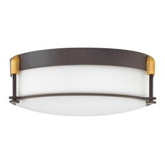 Потолочный светильник для ванной комнаты Elstead Lighting Colbin HK-COLBIN-F-M-OZ цена и информация | Потолочные светильники | 220.lv