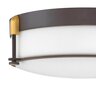 Vannas istabas griestu lampa Elstead Lighting Colbin HK-COLBIN-F-M-OZ цена и информация | Griestu lampas | 220.lv