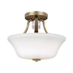 Потолочный светильник Elstead Lighting Evington FE-EVINGTON-SF-SG цена и информация | Потолочные светильники | 220.lv