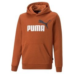 Puma sporta krekls bērniem 586987*81, brūns 4064537565384 cena un informācija | Zēnu jakas, džemperi, žaketes, vestes | 220.lv