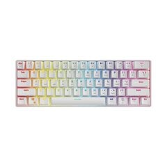 Клавиатура SAVIO Mechanical Keyboard Whiteout Brown (Оутему Браун), белая цена и информация | Клавиатуры | 220.lv