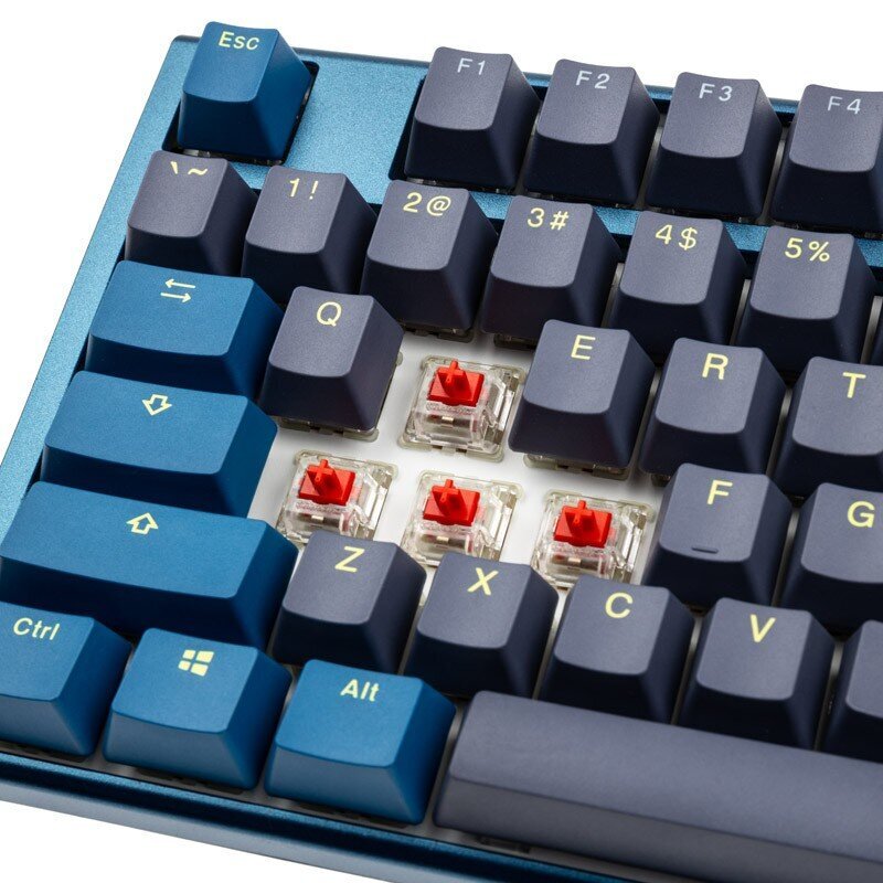 Ducky ONE 3 Daybreak RGB US MX Red Switch цена и информация | Klaviatūras | 220.lv