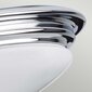 Vannas istabas griestu lampa Elstead Lighting Brompton BATH-BROMPTON-F cena un informācija | Griestu lampas | 220.lv
