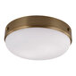 Griestu lampa Elstead Lighting Cadence FE-CADENCE-F-DAB цена и информация | Griestu lampas | 220.lv