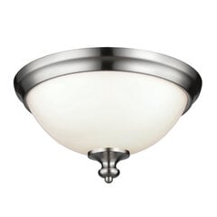 Griestu lampa Elstead Lighting Parkman FE-PARKMAN-F-BS cena un informācija | Griestu lampas | 220.lv