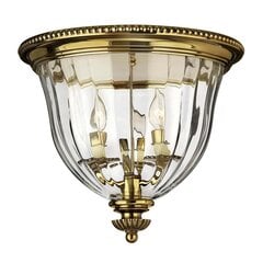 Griestu lampa Elstead Lighting Cambridge HK-CAMBRIDGE-F-B цена и информация | Потолочные светильники | 220.lv