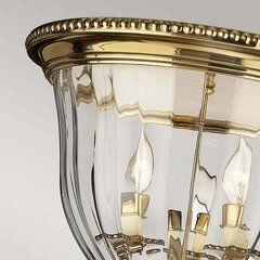 Griestu lampa Elstead Lighting Cambridge HK-CAMBRIDGE-F-B цена и информация | Потолочные светильники | 220.lv
