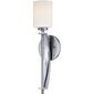Sienas lampa Elstead Lighting Taylor QZ-TAYLOR1L-BATH cena un informācija | Sienas lampas | 220.lv
